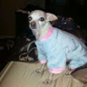 Meet your Posher, Jorge